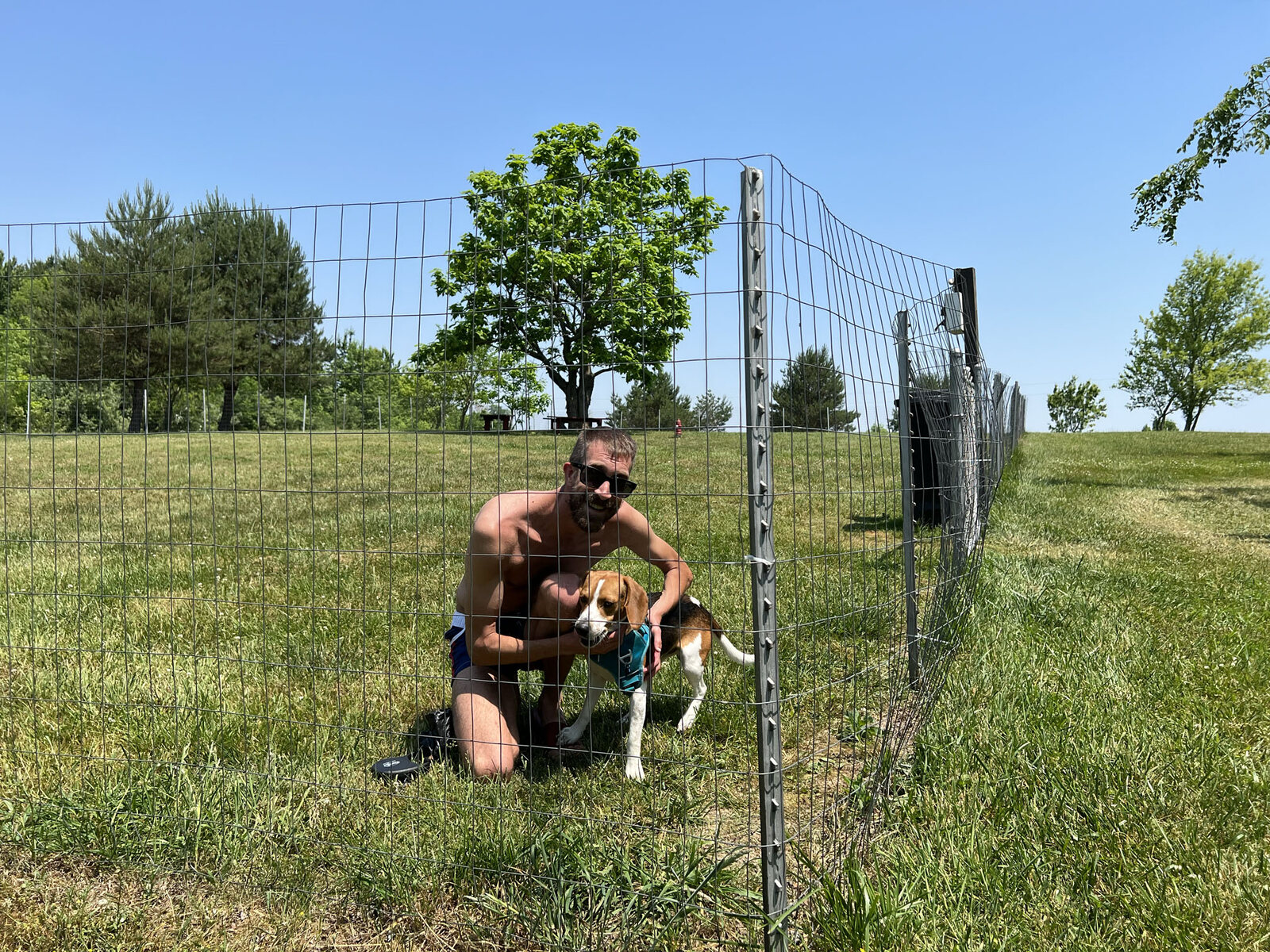 The dog park