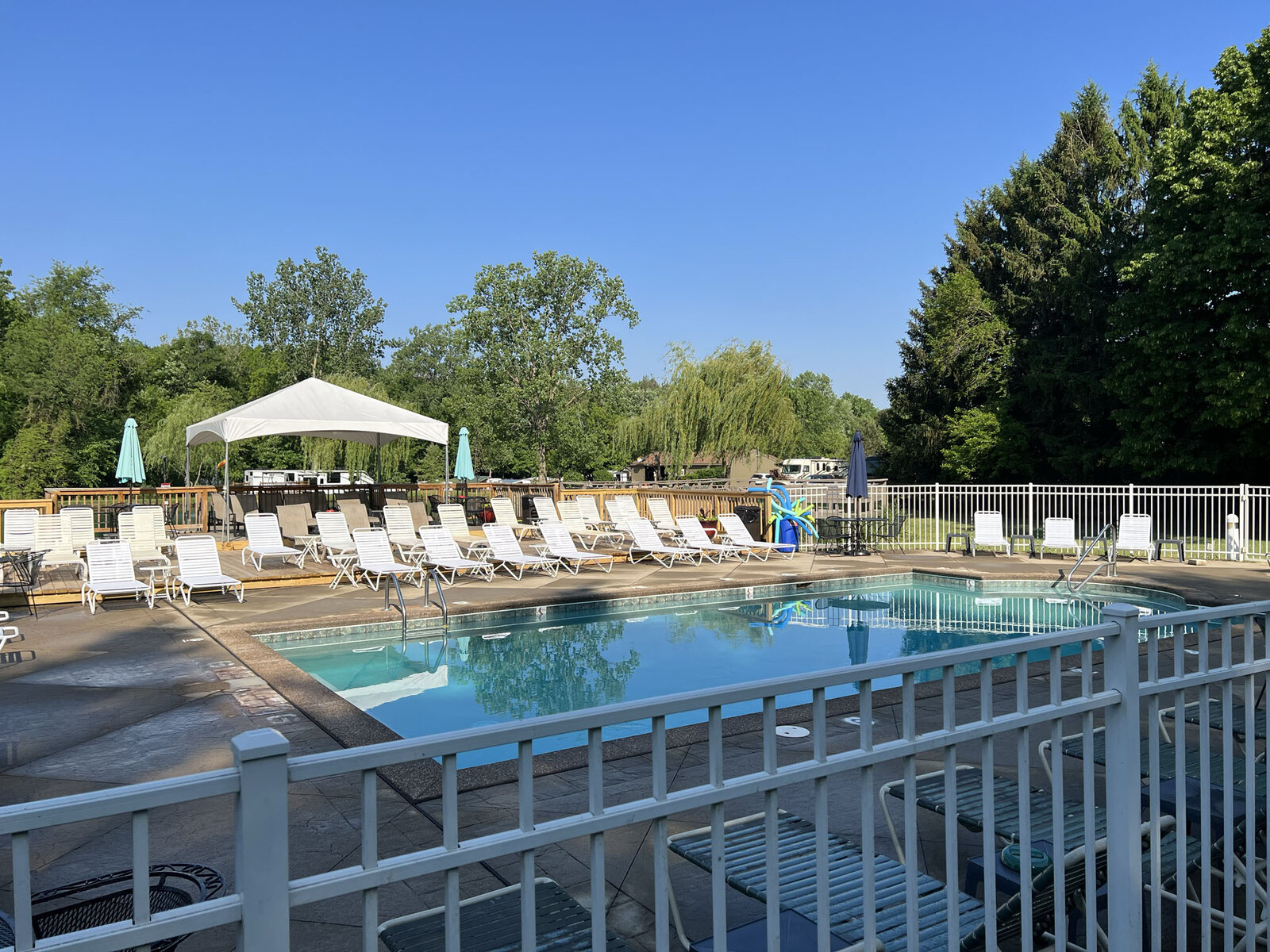 Morning by the pool